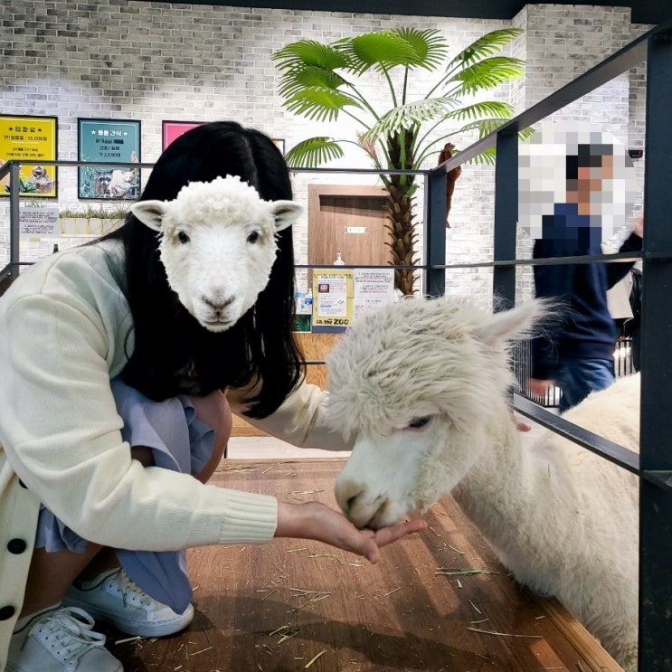  [인천 송도] 송도데이트, 아이와 체험하기 좋은 실내동물원, 인더쥬 (in the ZOO)