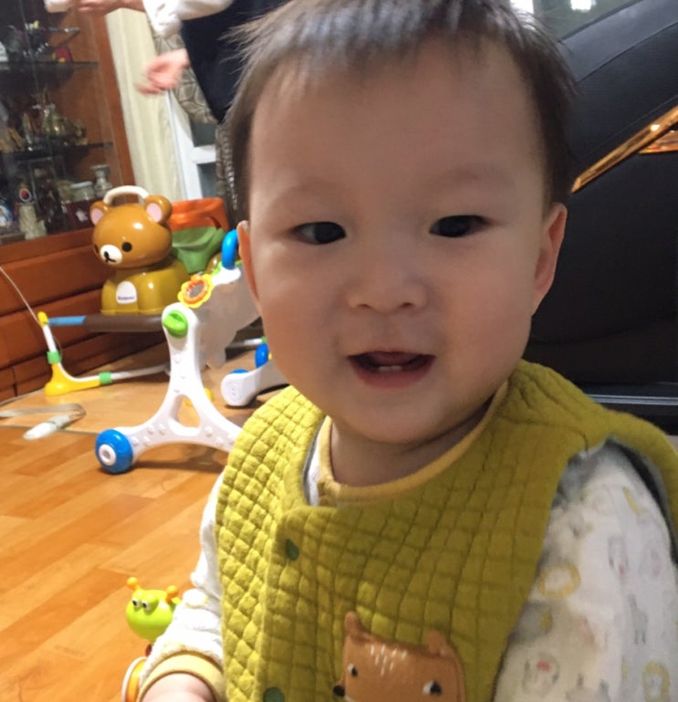  돌아기 니모 결국 시댁에 맡기기로 했어요