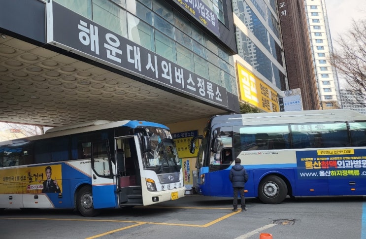  부산 해운대 시외버스 터미널 지역별 시간표&요금