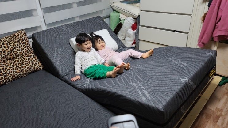 모션베드 추천 소닉슬립 리클라이너 마약매트리스 찐후기 모션베드 추천 소닉슬립 리클라이너 마약매트리스 찐후기