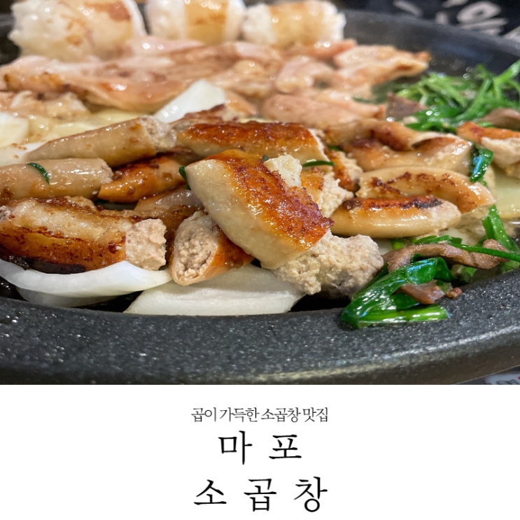  [신정네거리 맛집] 대창이 너무 크고 곱이 너무 많은 마포소곱창 내돈내산후기(22.2.27_메뉴,주차)