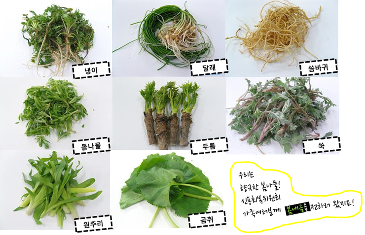 봄나물종류와 효능