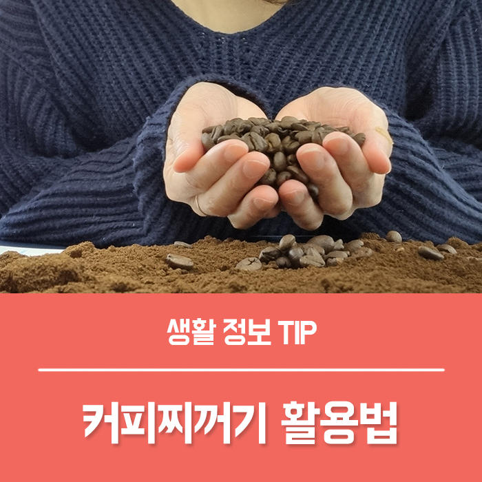  커피 가루 찌꺼기 활용법 화분 천연비료 식물해충제 방향제 만들기