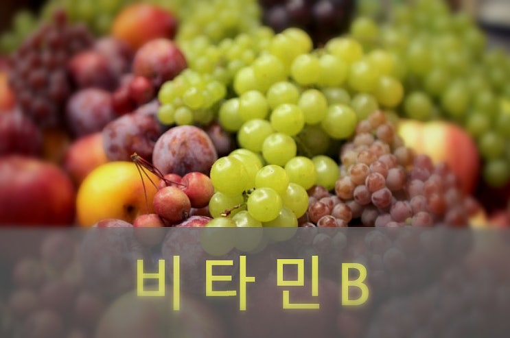  비타민B군( 컴플렉스) 중 B6, 비오틴, 엽산, B12 효능과 부작용