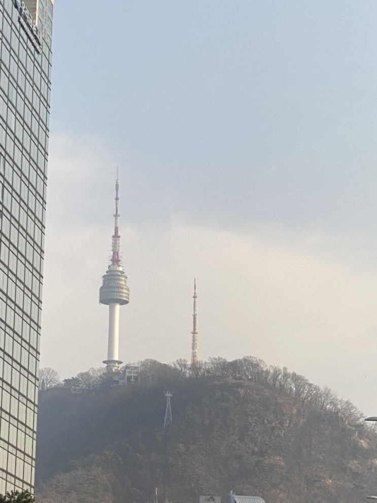  일상기록 3월 나들이 + 면접준비의 압박감...