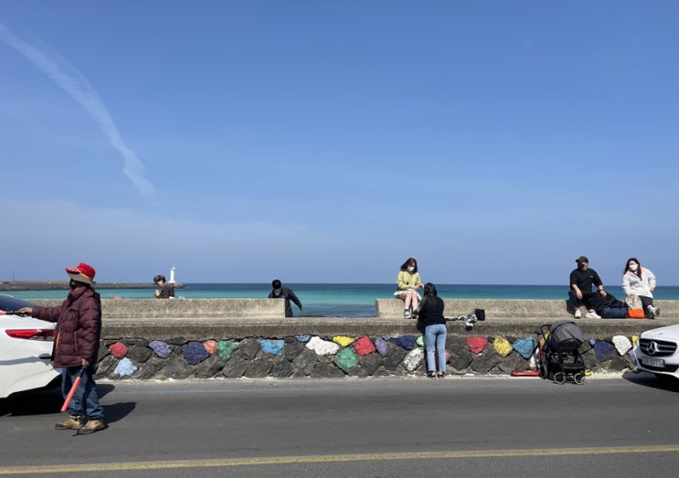 제주 오일장에서 장보기 제주 세화오일장