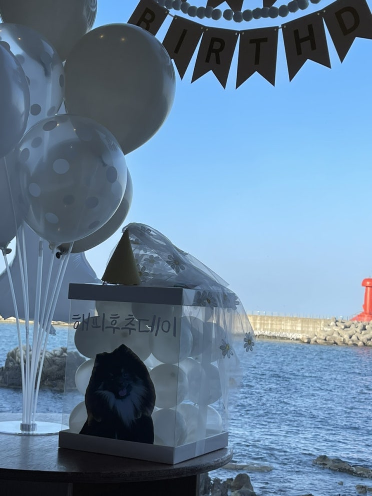  강원도양양 애견동반펜션 바다빛무지개  (ocean view)