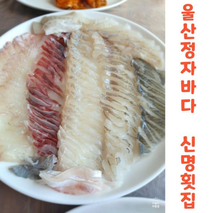  울산 정자 횟집 가성비 좋은 바다가 보이는 싱싱한 신명횟집