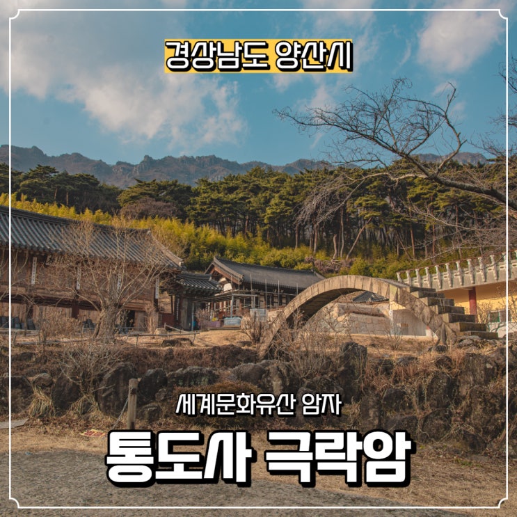  [경상남도] 양산 가볼 만한 곳, 양산 통도사 극락암, 통도사 홍매화 개화 상태