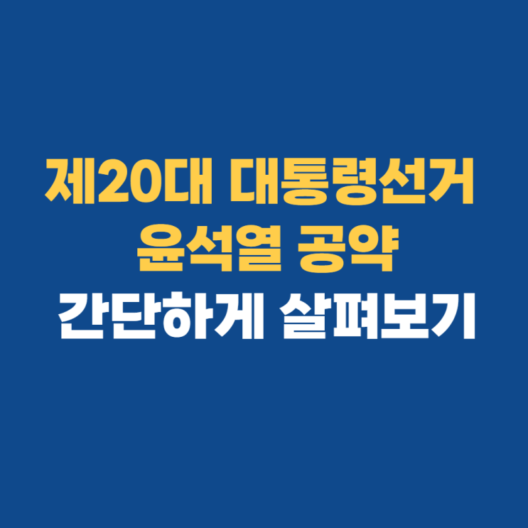 제20대 대통령선거 윤석열 공약 당선 살펴보기