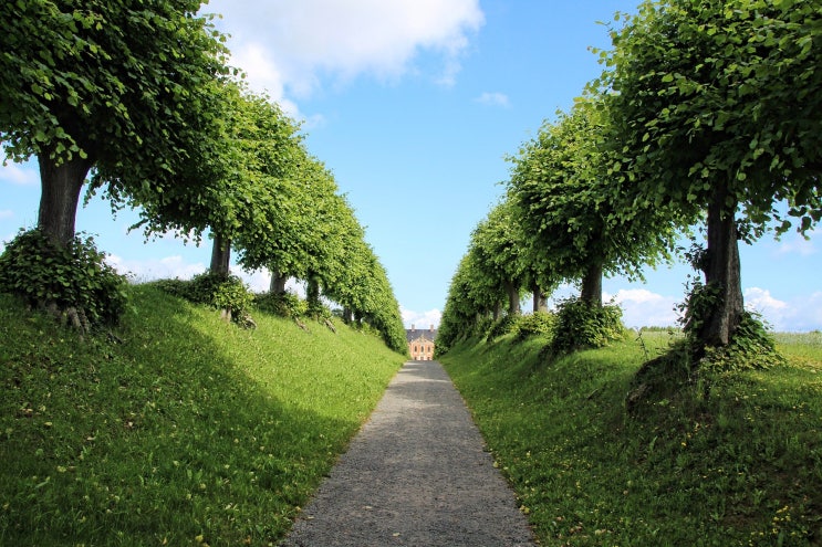 Down by the Salley Gardens Down by the Salley Gardens