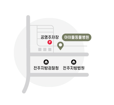  아이들동물병원 오시는 길, 주차 안내