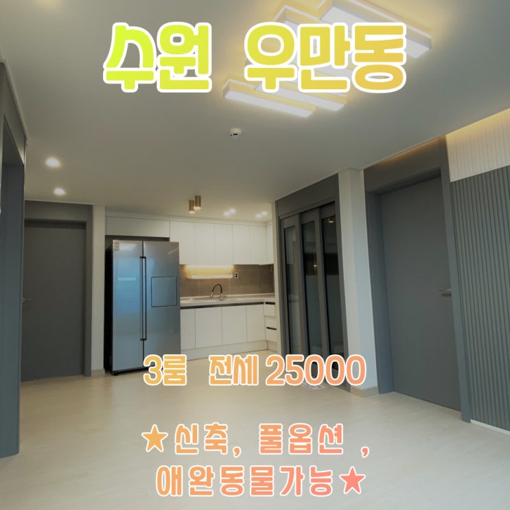  공간가치 #8/수원 우만동/신축빌라/애완동물가능/등기완료/전세