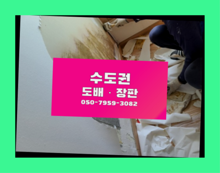  범물동 당일이사도배 ? 저렴한 도배·장판 시공문의 상품 찾아보기