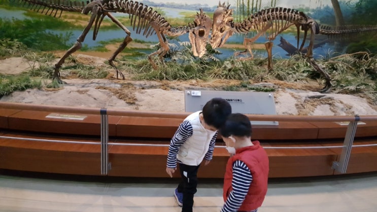  "공룡" 보러  가자! 서대문자연사박물관 [5세+4세+2세 가정보육_동네 놀이터]