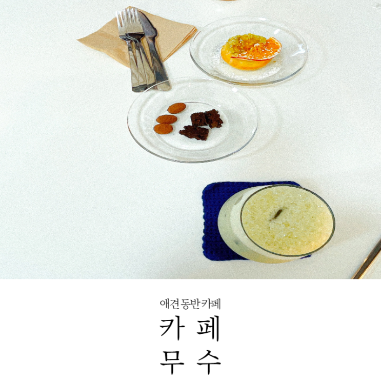  [신정네거리 카페] 신정네거리 유일무이한 애견동반가능,친철한 감성 카페 카페 무수 내돈내산후기(22.2.27_메뉴,주차)