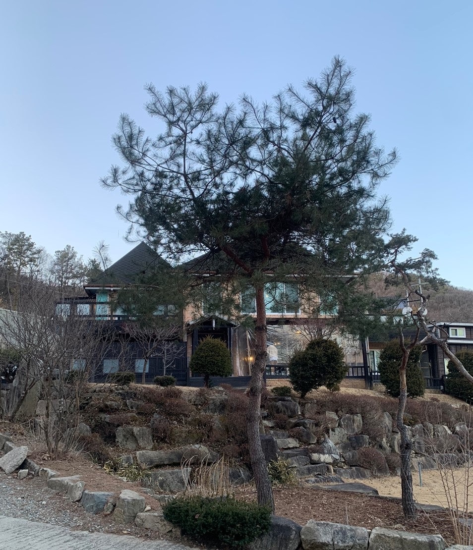 베아트리체펜션 사진 4