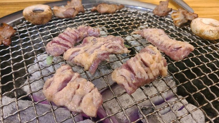 제주돈갈매기 제주돈갈매기