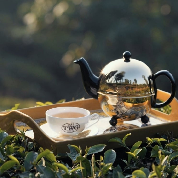  보다 완벽한 티타임을 위한 TWG 디자인 골드 티포트 DESIGN GOLD TEAPOT
