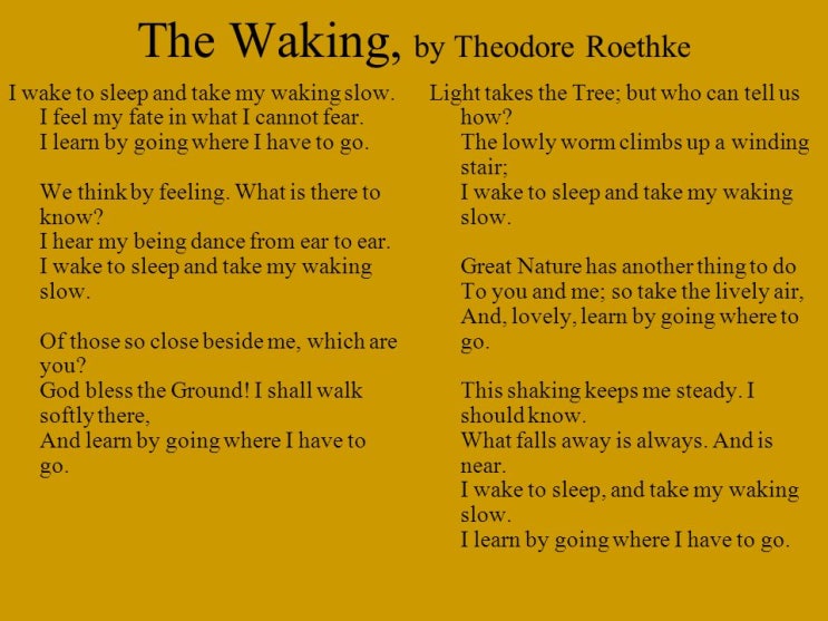 The waking The waking