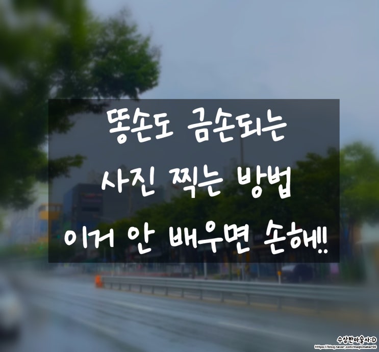  아이폰 사진 잘 찍는 방법을 찾으시나요? 똥손이여도 괜찮아! 이 방법으로 금손소리 들어보아요!