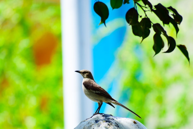 Ode to a Nightingale Ode to a Nightingale