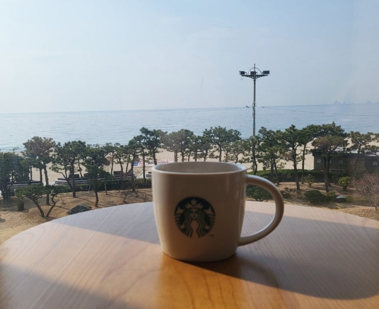 부산 그랜드 조선호텔 스타벅스 해운대해수욕장 뷰맛집