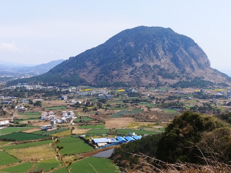 바굼지 오름 - 산방산 조망과 파노라마 뷰 끝판왕