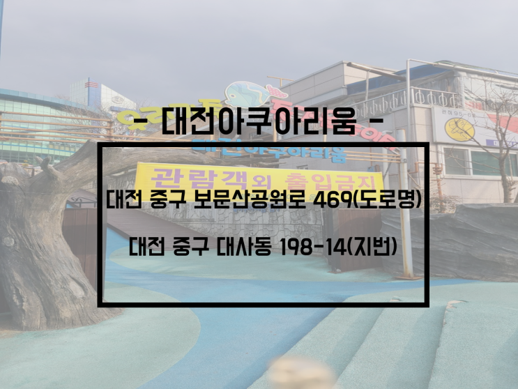  [대전/대사동] 아이들과 가볼만 한곳, 대전 데이트 장소 추천[대전 아쿠아리움]