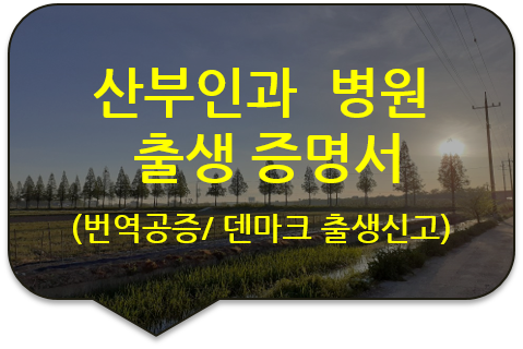 덴마크 코펜하겐 출생신고를 위한 산부인과 병원 '출생 증명서'의 번역공증 및 아포스티유 전문대행 덴마크 코펜하겐 출생신고를 위한 산부인과 병원 '출생 증명서'의 번역공증 및 아포스티유 전문대행