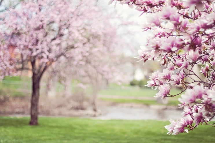 Spring, the sweet spring Spring, the sweet spring