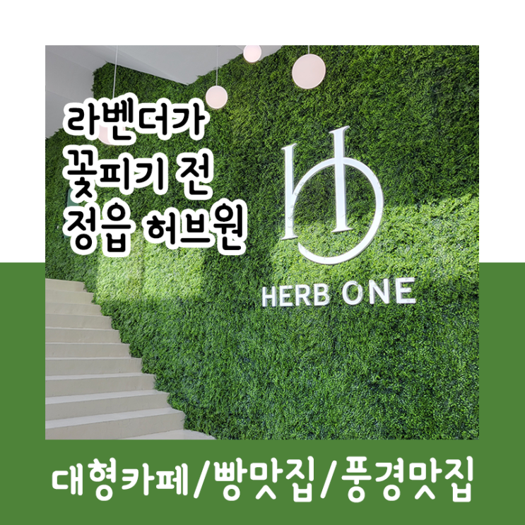  정읍 허브원_대형카페/빵맛집/풍경맛집