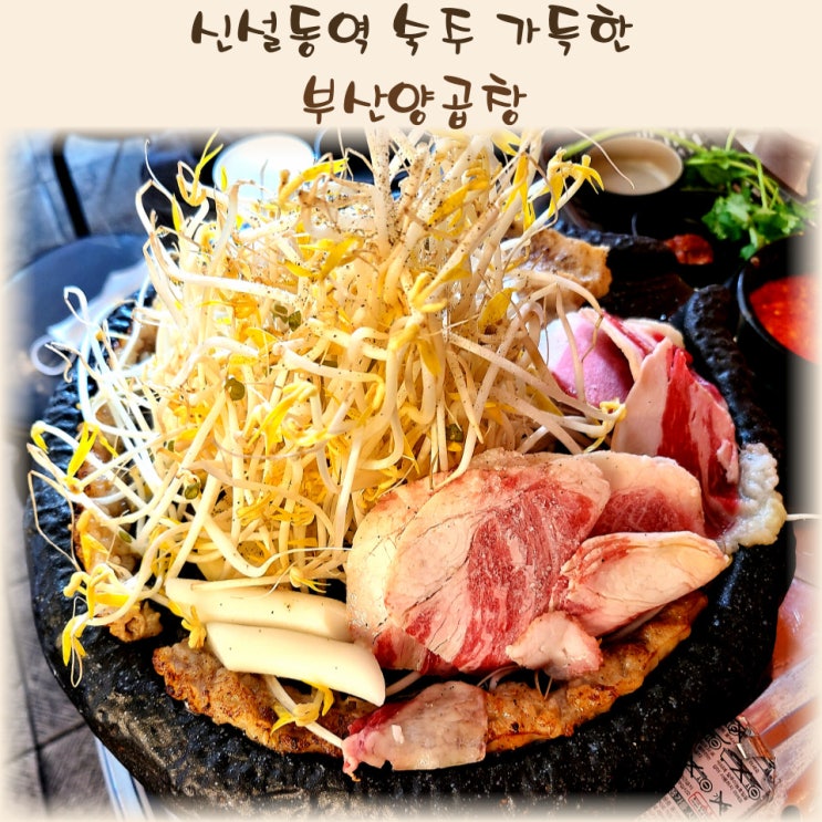  신설동 곱창  부산 여행 갈 필요 없는 숙주 가득한 : 부산양곱창