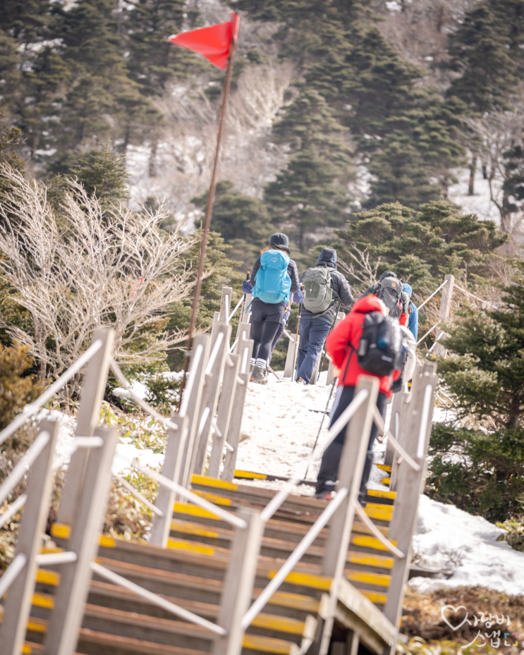  제주 한라산 성판악 루트로 다녀온, 착한 사람 눈에만 보이는 백록담 by 석영작가
