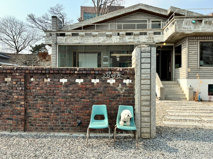 [인천 애견동반 카페] 계양 고양이똥, 주택개조 애견동반 카페!