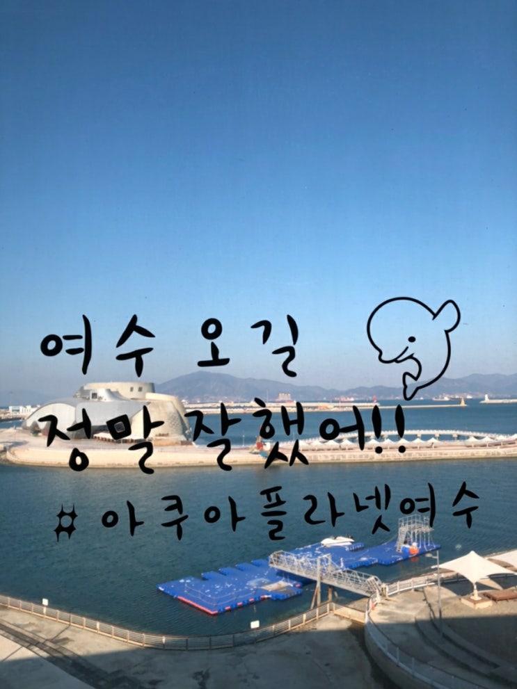  여수 아쿠아플라넷 방문기(2.24~26)