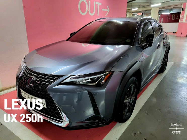  렉서스 UX 250h :: 하이브리드 준중형 SUV