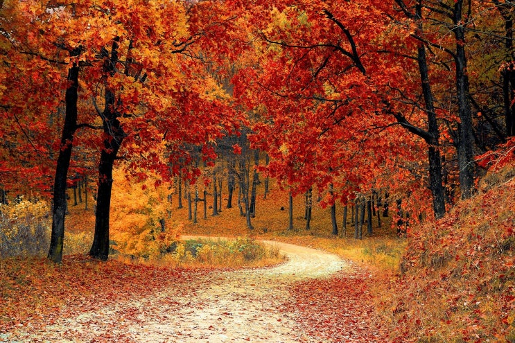 The Road Not Taken The Road Not Taken