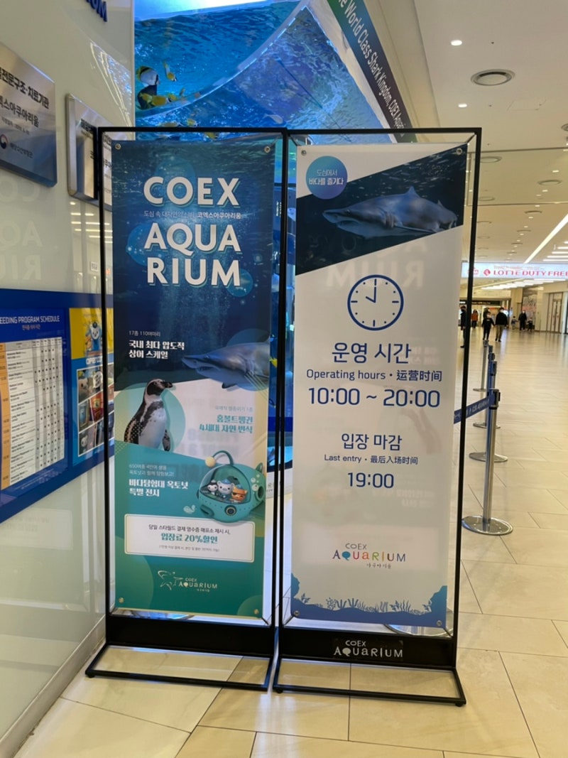 코엑스 아쿠아리움 실내 데이트 존예 포토존 추천!💖 : 네이버 블로그, image size:800x1067