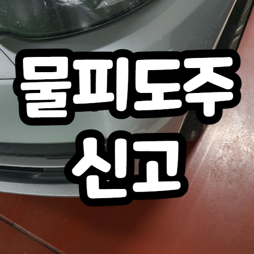 물피도주 경찰 신고 후기, 벌금, 벌점 등 물피도주 경찰 신고 후기, 벌금, 벌점 등
