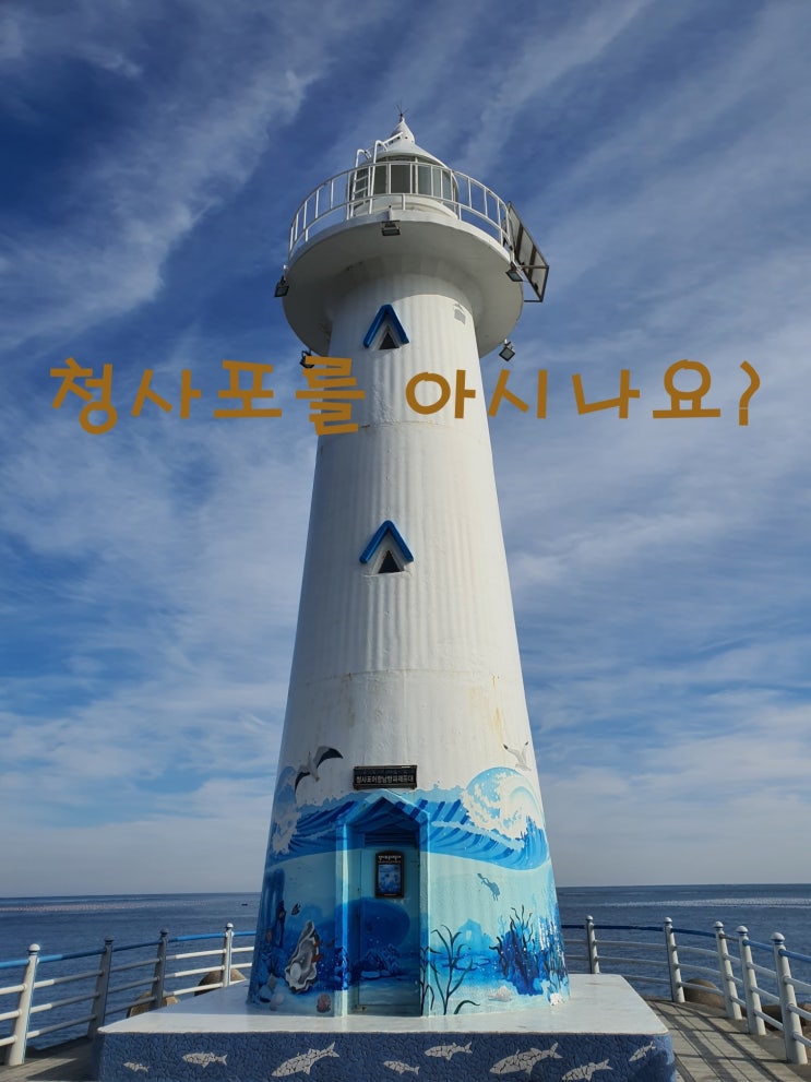  부산 청사포를 아시나요?