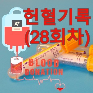 [헌혈기록] 아내의 생일 하루 전, 나의 28번째 헌혈