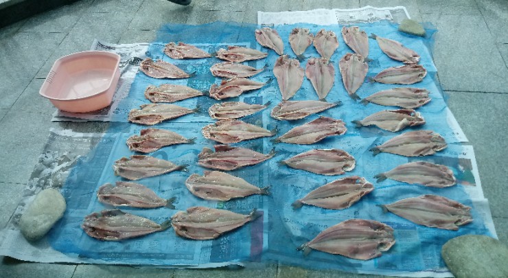  임연수 생선 말리기