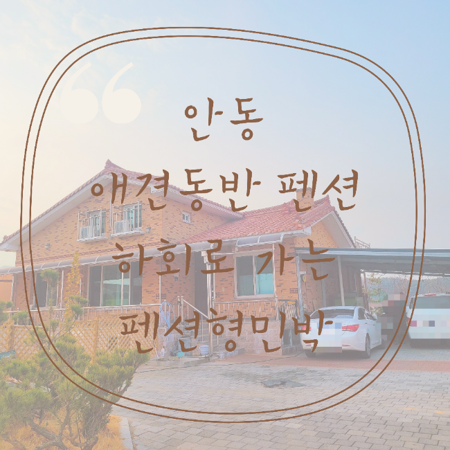 사진 5
