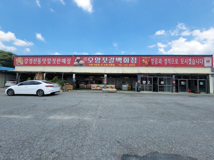 논산 강경젓갈 오양젓갈백화점 맛집 방문 후기