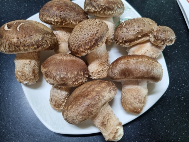  송고버섯 요리 전복버섯장조림 예담농원 쏭송화버섯 네이버 농라카페