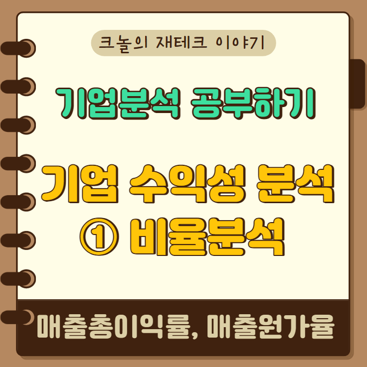  기업 수익성 분석하기_매출총이익률, 매출원가율 (테슬라 사례)