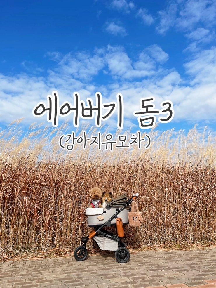 강아지 유모차 최고 선택 사항 안전한 에어버기 돔3 유모차 (내돈내산)