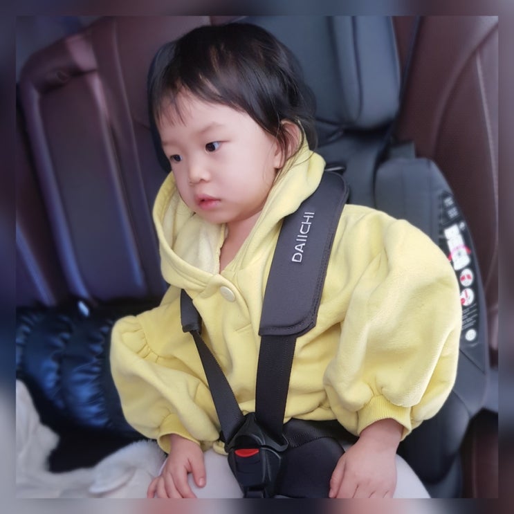  휴대용 카시트 다이치 이지캐리 두돌 세컨용으로 선택