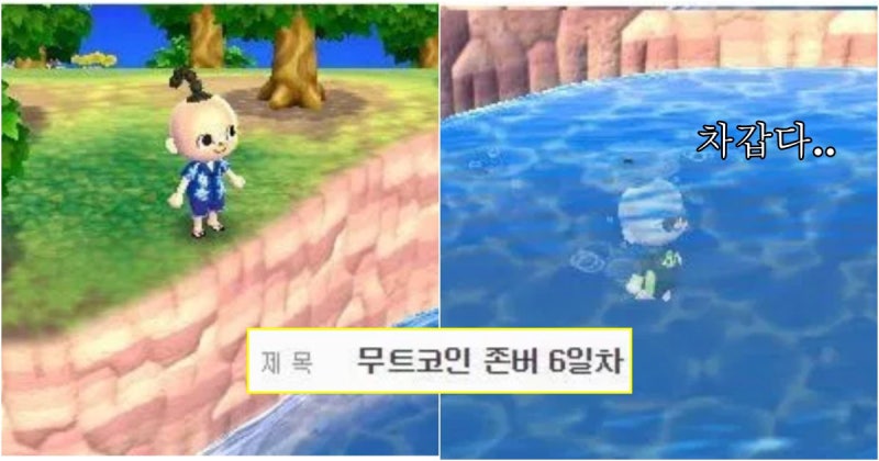모동숲 무값계산기 무트코인 무주식 예측 99% 성공하는 방법 : 네이버 블로그 모동숲 무값계산기 무트코인 무주식 예측 99% 성공하는 방법 : 네이버 블로그